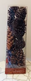 #13830 Pine Cones in a large trapezoid box