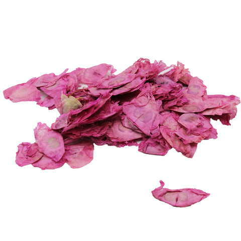 Dried Angel Wings - Pink - Jodhshop