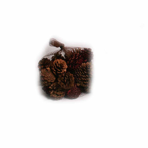 Natural and Red Pine Cones in Net - 20 ounces - Jodhshop