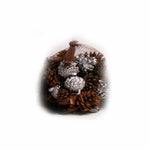Silver and Natural Pine Cones in Net - 20 ounces - Jodhshop