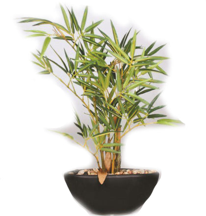 Bamboo Artificial Plant in Ceramic Pot - 15 inches - Jodhshop