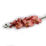 "Rosa Pink" Orchid Artificial Floral Stems - Jodhshop