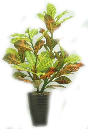 Croton Artificial Plant in Ceramic Pot - 21 inches tall - Jodhpuri Online